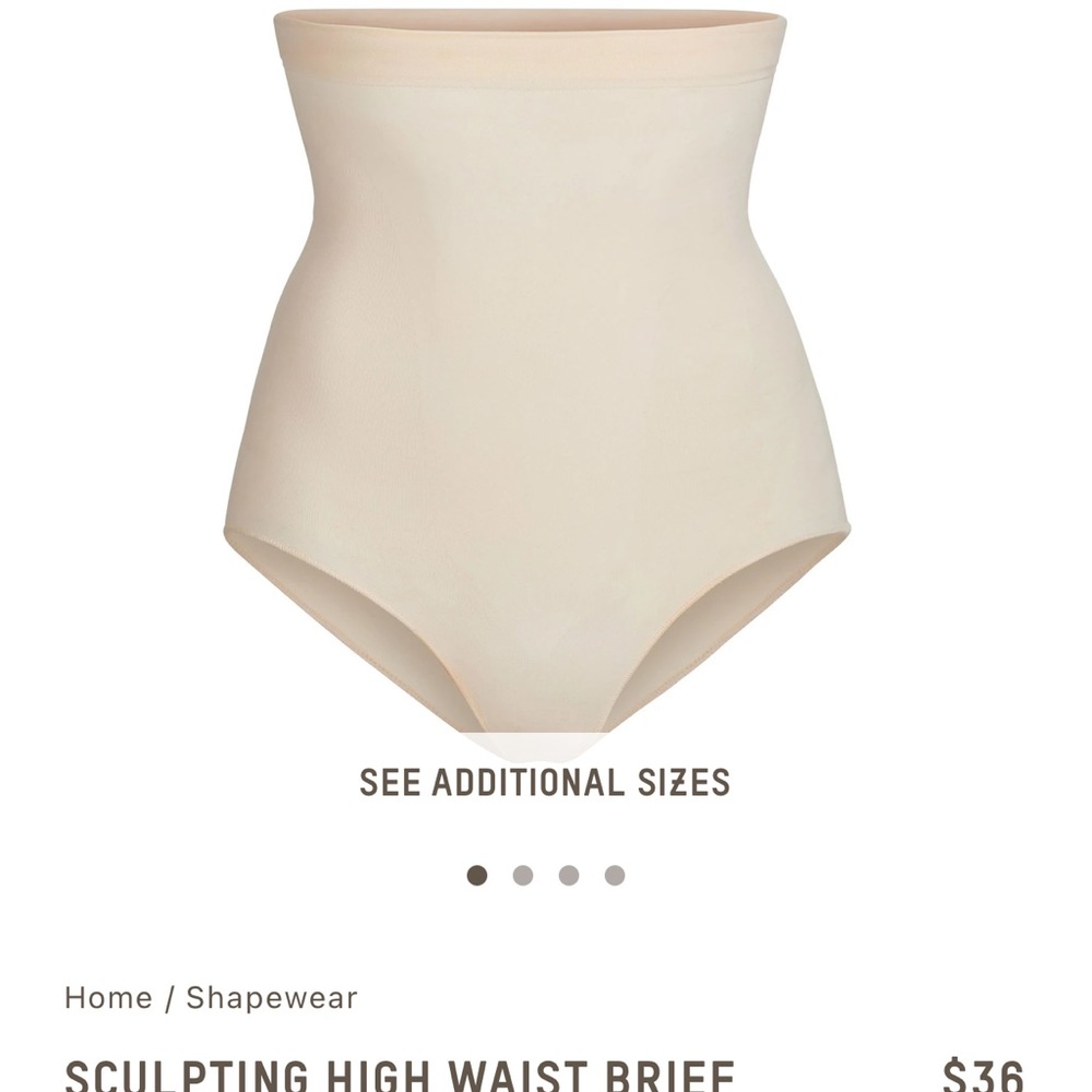 SKIMS SCULPTING HIGH WAIST BRIEF